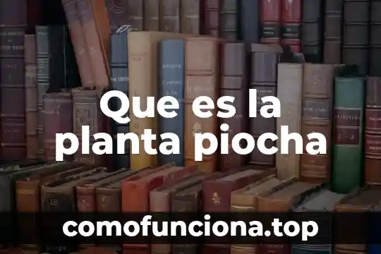 Que es la lengua de vaca planta 4 Que es la planta piocha