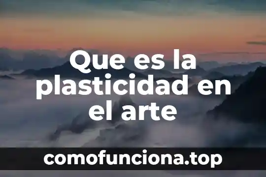Que es la representacion personal mediante el arte 4 Que es la plasticidad en el arte