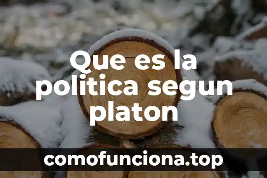 Qué es la teoría política de platón 4 Que es la politica segun platon