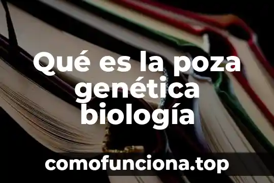 Qué es meiosis biología 5 Qué es la poza genética biología