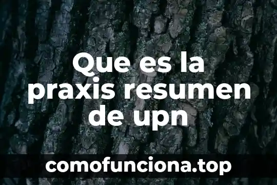 Que es praxis médica 7 Que es la praxis resumen de upn