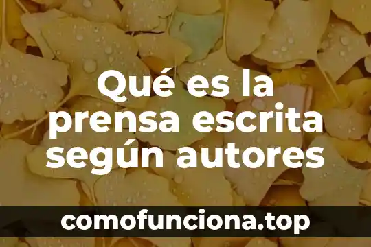 Que es el siglo de oro y autores mas reprecentativos 4 Qué es la prensa escrita según autores