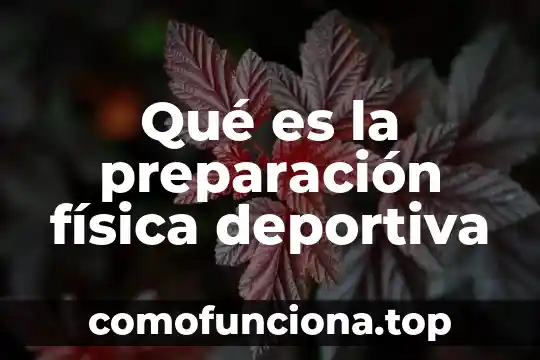Que es la preparacion fisica y como se divide 3 Qué es la preparación física deportiva