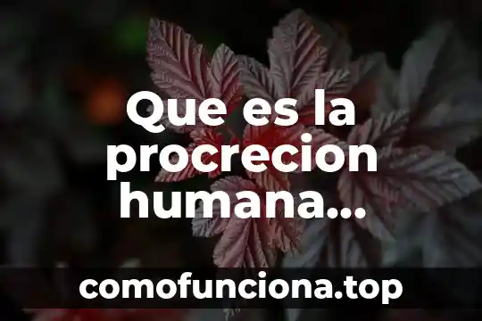 Que es estilizacion de la figura humana 3 Que es la procrecion humana natural