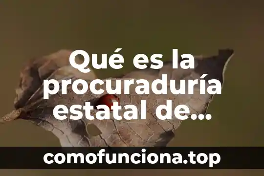 Qué es normatividad aplicable en la auditoria 8 Qué es la procuraduría estatal de derechos humanos en chiapas