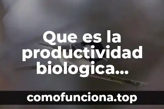 Que es la evolución biológica definición 8 Que es la productividad biologica geoquimica