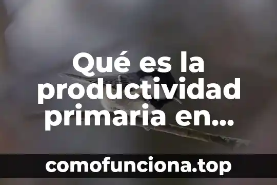Que es sustentabilidad en ecologia unam 6 Qué es la productividad primaria en ecología