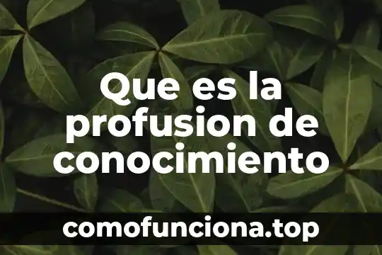 Que es el conocimiento para la ciencia 3 Que es la profusion de conocimiento