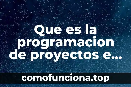 Que es un concepto basico de la programacion 8 Que es la programacion de proyectos e hitos