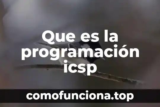 Que es objetividad y relativismo 4 Que es la programación icsp