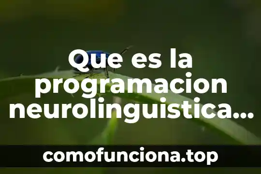 Que es innovaciones tecnicas a lo largo de la historia 3 Que es la programacion neurolinguistica tecnicas