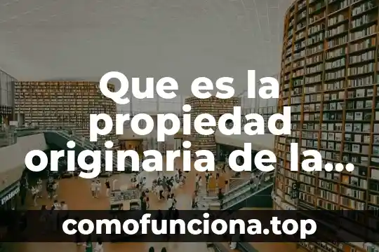Que es el complemento directo de una oracion 5 Que es la propiedad originaria de la nación