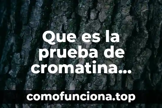 Para que es la prueba vdrl 4 Que es la prueba de cromatina sexual