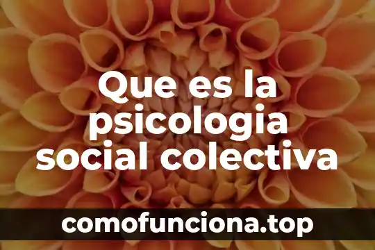 Que es una sociedad colectiva comercial 8 Que es la psicologia social colectiva