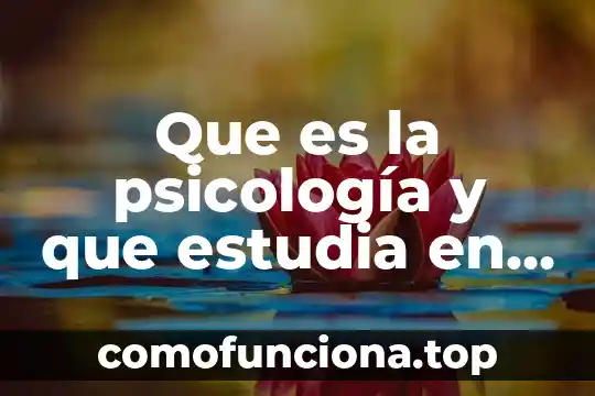 Qué es y qué estudia la estadística 6 Que es la psicología y que estudia en la actualidad