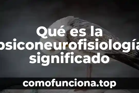 Chicle: Origen y Significado 4 Qué es la psiconeurofisiología significado