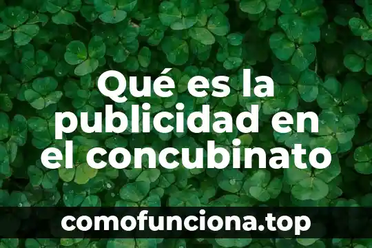 Que es una publicidad comparativa 3 Qué es la publicidad en el concubinato