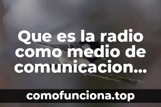 Que es una estructura social y en que consiste 5 Que es la radio como medio de comunicacion social