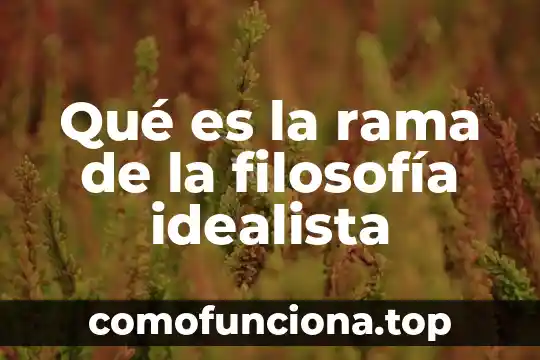 Que es una cuenta de cheques citibanamex 8 Qué es la rama de la filosofía idealista
