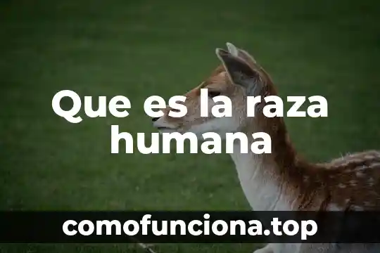 Que es estilizacion de la figura humana 5 Que es la raza humana