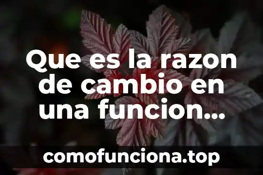 Álgebra lineal qué es y para qué sirve 4 Que es la razon de cambio en una funcion lineal