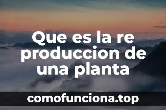 Que es un pronostico en gestion de la produccion 7 Que es la re produccion de una planta