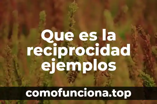Que es reciprocidad significado 5 Que es la reciprocidad ejemplos