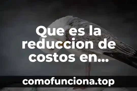 Que es la re produccion de una planta 6 Que es la reduccion de costos en produccion