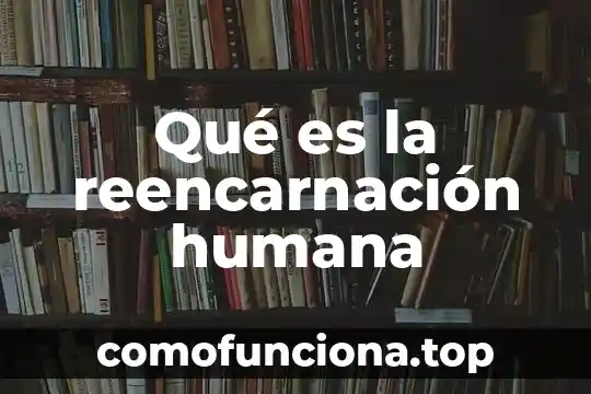 Que es la ignorancia humana segun raúl gutierrez sáenz 5 Qué es la reencarnación humana