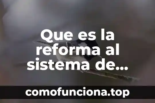 Que es reforma procesal penal 3 Que es la reforma al sistema de justicia penal