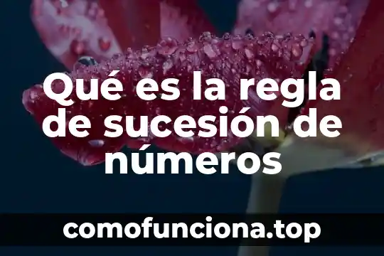 Que es divicion de numeros enteros con signo 5 Qué es la regla de sucesión de números
