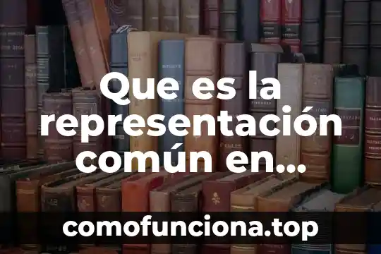 Unidades móviles de protección civil que es lo que contiene 7 Que es la representación común en derecho civil