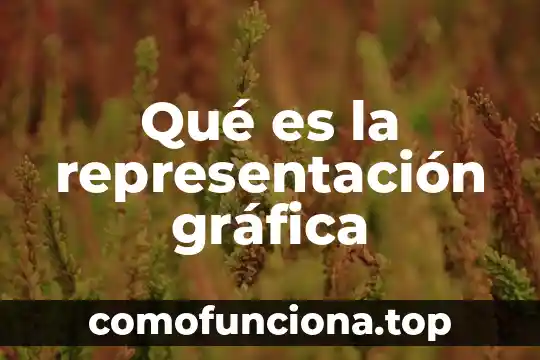 Que es la representacion tecnica en la resolucion de problemas 7 Qué es la representación gráfica