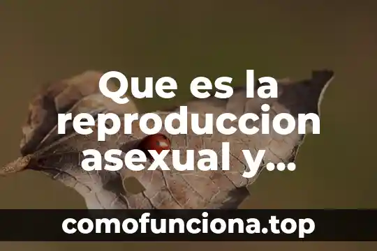 Que es el de una planta asexual 5 Que es la reproduccion asexual y asexual de las plantas