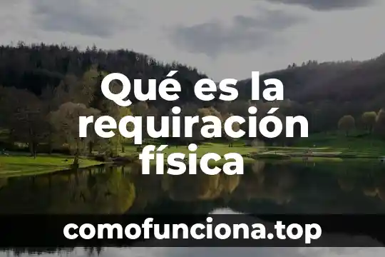 Qué es cantidad de movimiento en física 3 Qué es la requiración física