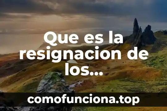 Qué es el plancton animal 3 Que es la resignacion de los conocimientos
