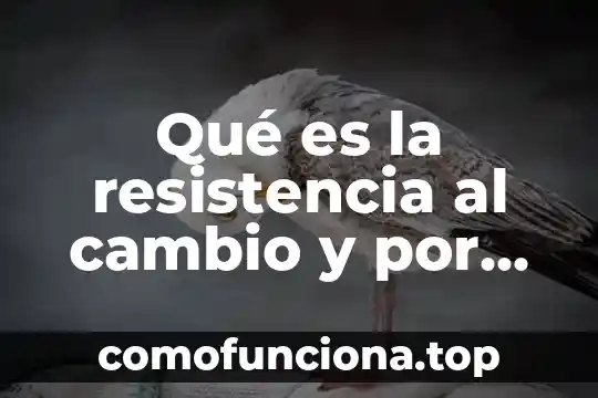 Que es el tipo de cambio nominal 3 Qué es la resistencia al cambio y por qué surge