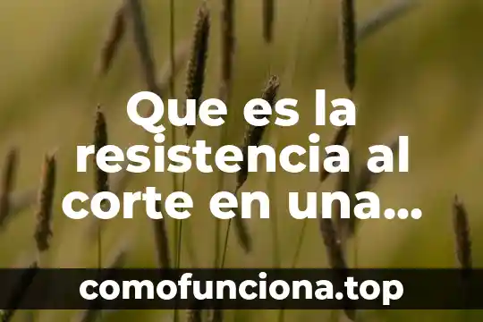 Que es una columna en una tabla de word 7 Que es la resistencia al corte en una columna