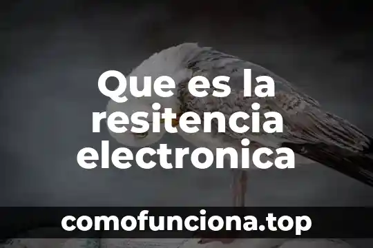 Para que es la firma electronica sat 7 Que es la resitencia electronica