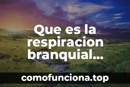 Ejemplos de que es el agente causal 8 Que es la respiracion branquial ejemplos