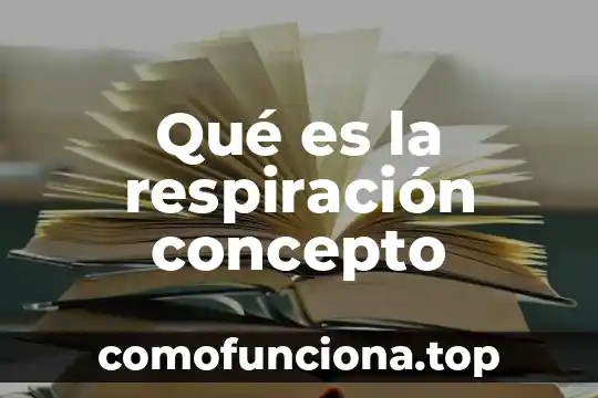 Que es labaro patrio concepto 8 Qué es la respiración concepto