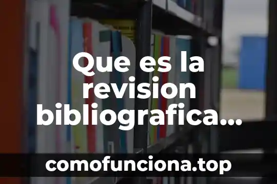 Qué es conciencia organizacional 7 Que es la revision bibliografica de un proyecto