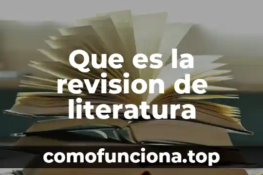 Qué es argumento en literatura 6 Que es la revision de literatura
