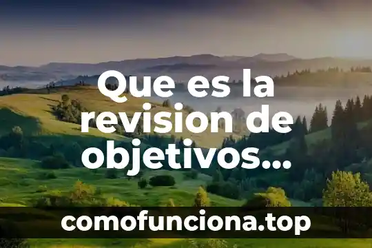 Que es un formato de datos personales 8 Que es la revision de objetivos personales en una empresa