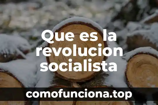 Qué es el movimiento socialista 3 Que es la revolucion socialista