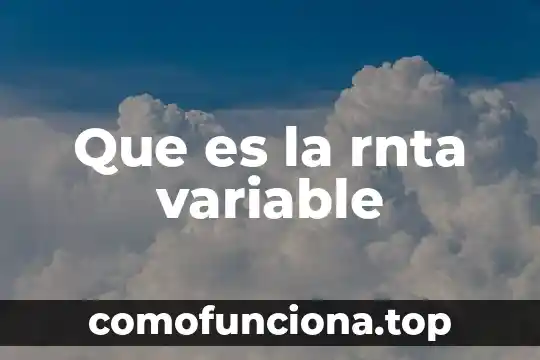 Que es el nombre de una variable 8 Que es la rnta variable