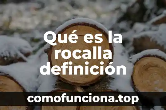 Que es litigio definicion 8 Qué es la rocalla definición