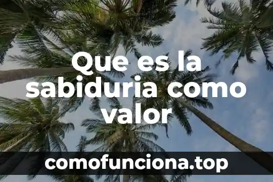 Que es el conocimiento sabiduria y creencia 7 Que es la sabiduria como valor