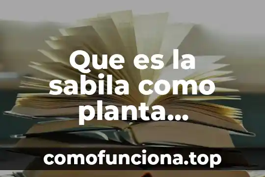 Kalanchoe planta medicinal que es 7 Que es la sabila como planta medicinal