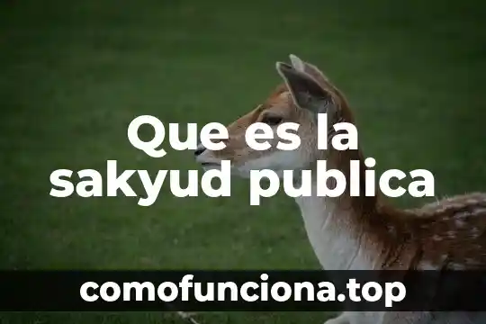Que es una actuacion publica 7 Que es la sakyud publica